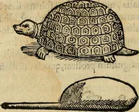 An illustration from Io. Bap. Portae Neopolitani de distillatione lib. IX : quibus certa methodo, multipliciq[ue] artificio, penitioribus naturae arcanis detectis, cuius libet mixti in propria elementa resolutio, perfectè docetur (1608)
