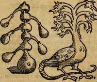 An illustration from Io. Bap. Portae Neopolitani de distillatione lib. IX : quibus certa methodo, multipliciq[ue] artificio, penitioribus naturae arcanis detectis, cuius libet mixti in propria elementa resolutio, perfectè docetur (1608)