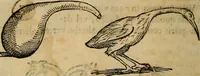 An illustration from Io. Bap. Portae Neopolitani de distillatione lib. IX : quibus certa methodo, multipliciq[ue] artificio, penitioribus naturae arcanis detectis, cuius libet mixti in propria elementa resolutio, perfectè docetur (1608)