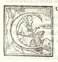 Picture 39 of 60 from Io. Baptistae Benedicti patritij veneti philosophi De gnomonvm vmbrarvmq. solarivm vsv liber : nunc primùm publicae utilitati, studiosorumq̀. commoditati in lucem aeditus (1574), leaf 177