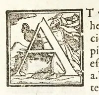 Picture 46 of 60 from Io. Baptistae Benedicti patritij veneti philosophi De gnomonvm vmbrarvmq. solarivm vsv liber : nunc primùm publicae utilitati, studiosorumq̀. commoditati in lucem aeditus (1574), leaf 198