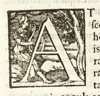 Picture 57 of 60 from Io. Baptistae Benedicti patritij veneti philosophi De gnomonvm vmbrarvmq. solarivm vsv liber : nunc primùm publicae utilitati, studiosorumq̀. commoditati in lucem aeditus (1574), leaf 238
