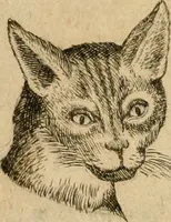 Picture 73 of 92 from Io. Baptistae Portae neapolitani De hvmana physiognomonia libri IIII (1586), leaf 103