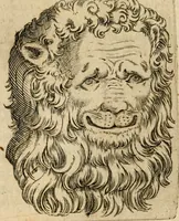 Picture 75 of 92 from Io. Baptistae Portae neapolitani De hvmana physiognomonia libri IIII (1586), leaf 113