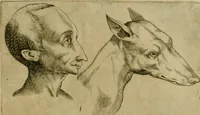 Picture 77 of 92 from Io. Baptistae Portae neapolitani De hvmana physiognomonia libri IIII (1586), leaf 116