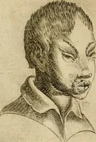Picture 81 of 92 from Io. Baptistae Portae neapolitani De hvmana physiognomonia libri IIII (1586), leaf 141