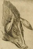Picture 82 of 92 from Io. Baptistae Portae neapolitani De hvmana physiognomonia libri IIII (1586), leaf 141