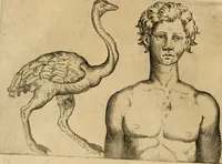 Picture 84 of 92 from Io. Baptistae Portae neapolitani De hvmana physiognomonia libri IIII (1586), leaf 143