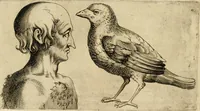 Picture 85 of 92 from Io. Baptistae Portae neapolitani De hvmana physiognomonia libri IIII (1586), leaf 147