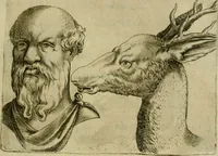 Picture 86 of 92 from Io. Baptistae Portae neapolitani De hvmana physiognomonia libri IIII (1586), leaf 148