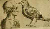 Picture 88 of 92 from Io. Baptistae Portae neapolitani De hvmana physiognomonia libri IIII (1586), leaf 154