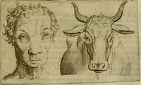 Picture 89 of 92 from Io. Baptistae Portae neapolitani De hvmana physiognomonia libri IIII (1586), leaf 196
