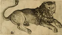Picture 8 of 92 from Io. Baptistae Portae neapolitani De hvmana physiognomonia libri IIII (1586), leaf 27