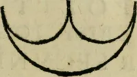 Picture 13 of 92 from Io. Baptistae Portae neapolitani De hvmana physiognomonia libri IIII (1586), leaf 34