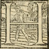 Picture 14 of 92 from Io. Baptistae Portae neapolitani De hvmana physiognomonia libri IIII (1586), leaf 35