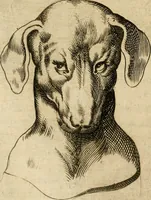 Picture 16 of 92 from Io. Baptistae Portae neapolitani De hvmana physiognomonia libri IIII (1586), leaf 37
