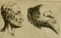 Picture 22 of 92 from Io. Baptistae Portae neapolitani De hvmana physiognomonia libri IIII (1586), leaf 44