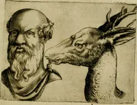 Picture 25 of 92 from Io. Baptistae Portae neapolitani De hvmana physiognomonia libri IIII (1586), leaf 48