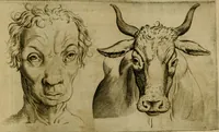 Picture 29 of 92 from Io. Baptistae Portae neapolitani De hvmana physiognomonia libri IIII (1586), leaf 58