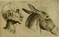 Picture 34 of 92 from Io. Baptistae Portae neapolitani De hvmana physiognomonia libri IIII (1586), leaf 62