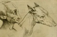 Picture 36 of 92 from Io. Baptistae Portae neapolitani De hvmana physiognomonia libri IIII (1586), leaf 66