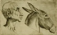Picture 43 of 92 from Io. Baptistae Portae neapolitani De hvmana physiognomonia libri IIII (1586), leaf 74