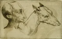 Picture 45 of 92 from Io. Baptistae Portae neapolitani De hvmana physiognomonia libri IIII (1586), leaf 76