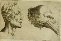Picture 47 of 92 from Io. Baptistae Portae neapolitani De hvmana physiognomonia libri IIII (1586), leaf 80
