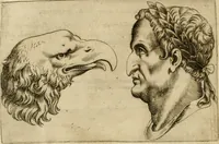 Picture 48 of 92 from Io. Baptistae Portae neapolitani De hvmana physiognomonia libri IIII (1586), leaf 81