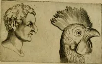 Picture 49 of 92 from Io. Baptistae Portae neapolitani De hvmana physiognomonia libri IIII (1586), leaf 82