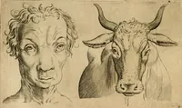 Picture 50 of 92 from Io. Baptistae Portae neapolitani De hvmana physiognomonia libri IIII (1586), leaf 83