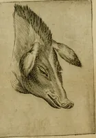 Picture 52 of 92 from Io. Baptistae Portae neapolitani De hvmana physiognomonia libri IIII (1586), leaf 84