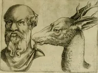 Picture 57 of 92 from Io. Baptistae Portae neapolitani De hvmana physiognomonia libri IIII (1586), leaf 88