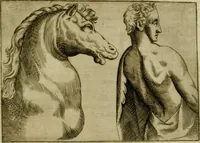 Picture 59 of 92 from Io. Baptistae Portae neapolitani De hvmana physiognomonia libri IIII (1586), leaf 90