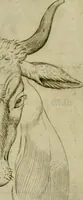 Picture 62 of 92 from Io. Baptistae Portae neapolitani De hvmana physiognomonia libri IIII (1586), leaf 94
