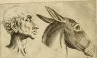 Picture 63 of 92 from Io. Baptistae Portae neapolitani De hvmana physiognomonia libri IIII (1586), leaf 95
