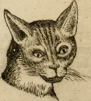 Picture 65 of 92 from Io. Baptistae Portae neapolitani De hvmana physiognomonia libri IIII (1586), leaf 95