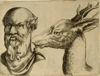 Picture 70 of 92 from Io. Baptistae Portae neapolitani De hvmana physiognomonia libri IIII (1586), leaf 99