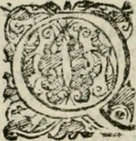 Picture 117 of 265 from Io. Batis. Portae Neap. De humana physiognomia li. VI : in quibus docetur quom[odo] animi propentes naturalibus remediis compesci possint (1602), leaf 101
