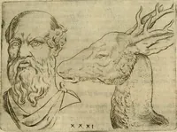 Picture 123 of 265 from Io. Batis. Portae Neap. De humana physiognomia li. VI : in quibus docetur quom[odo] animi propentes naturalibus remediis compesci possint (1602), leaf 112