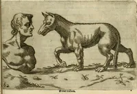 An illustration from Io. Batis. Portae Neap. De humana physiognomia li. VI : in quibus docetur quom[odo] animi propentes naturalibus remediis compesci possint (1602)