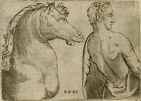Picture 131 of 265 from Io. Batis. Portae Neap. De humana physiognomia li. VI : in quibus docetur quom[odo] animi propentes naturalibus remediis compesci possint (1602), leaf 121