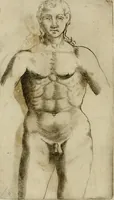 Picture 142 of 265 from Io. Batis. Portae Neap. De humana physiognomia li. VI : in quibus docetur quom[odo] animi propentes naturalibus remediis compesci possint (1602), leaf 131