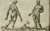 Picture 146 of 265 from Io. Batis. Portae Neap. De humana physiognomia li. VI : in quibus docetur quom[odo] animi propentes naturalibus remediis compesci possint (1602), leaf 135