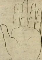 Picture 148 of 265 from Io. Batis. Portae Neap. De humana physiognomia li. VI : in quibus docetur quom[odo] animi propentes naturalibus remediis compesci possint (1602), leaf 137