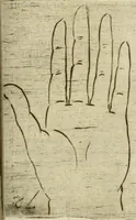 Picture 150 of 265 from Io. Batis. Portae Neap. De humana physiognomia li. VI : in quibus docetur quom[odo] animi propentes naturalibus remediis compesci possint (1602), leaf 138