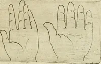 Picture 151 of 265 from Io. Batis. Portae Neap. De humana physiognomia li. VI : in quibus docetur quom[odo] animi propentes naturalibus remediis compesci possint (1602), leaf 138