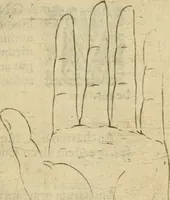 Picture 155 of 265 from Io. Batis. Portae Neap. De humana physiognomia li. VI : in quibus docetur quom[odo] animi propentes naturalibus remediis compesci possint (1602), leaf 140
