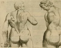 Picture 156 of 265 from Io. Batis. Portae Neap. De humana physiognomia li. VI : in quibus docetur quom[odo] animi propentes naturalibus remediis compesci possint (1602), leaf 141