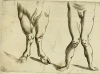 Picture 161 of 265 from Io. Batis. Portae Neap. De humana physiognomia li. VI : in quibus docetur quom[odo] animi propentes naturalibus remediis compesci possint (1602), leaf 144